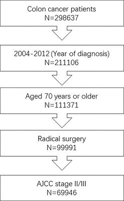 Adjuvant Chemotherapy Benefit in Elderly Stage II/III Colon Cancer Patients